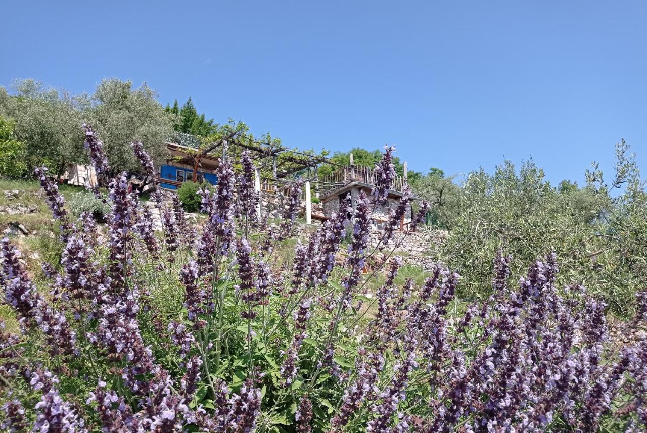 Villa Casa Delle Olive Mošćenička Draga Exterior foto